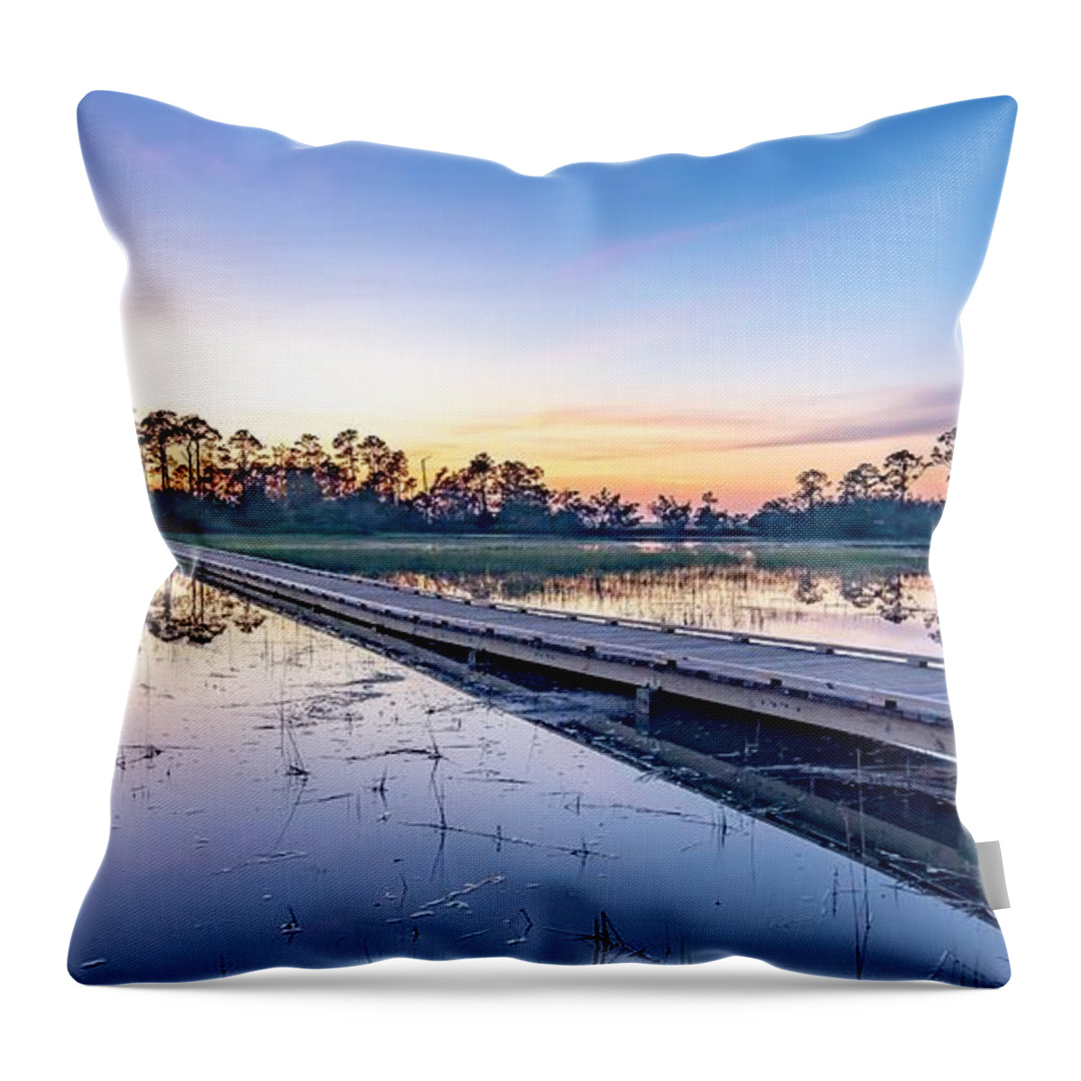 Travel Throw Pillow featuring the photograph Hunting island south carolina beach scenes #89 by Alex Grichenko