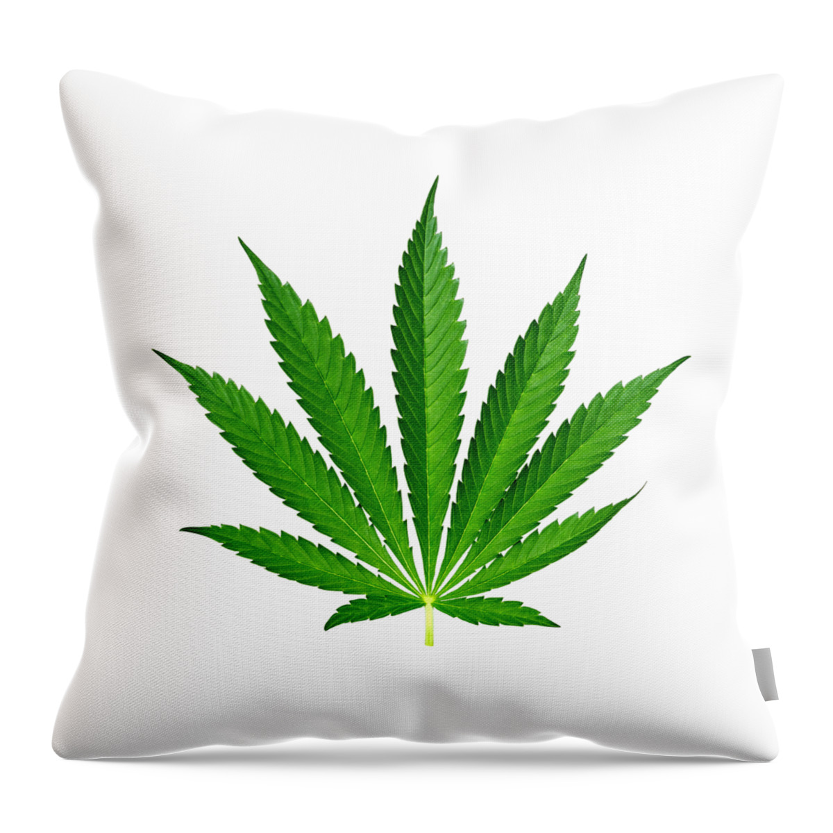 Cannabis Throw Pillow featuring the photograph 9-Point Cannabis Leaf White Background by Luke Moore