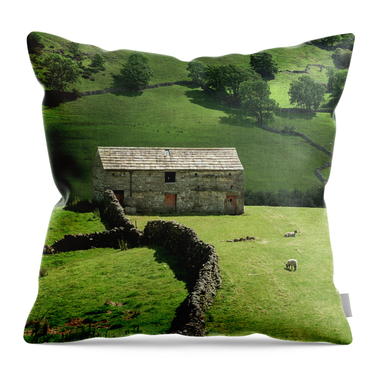 Landscape Throw Pillow featuring the photograph A Barn in Yorkshire by David Lichtneker