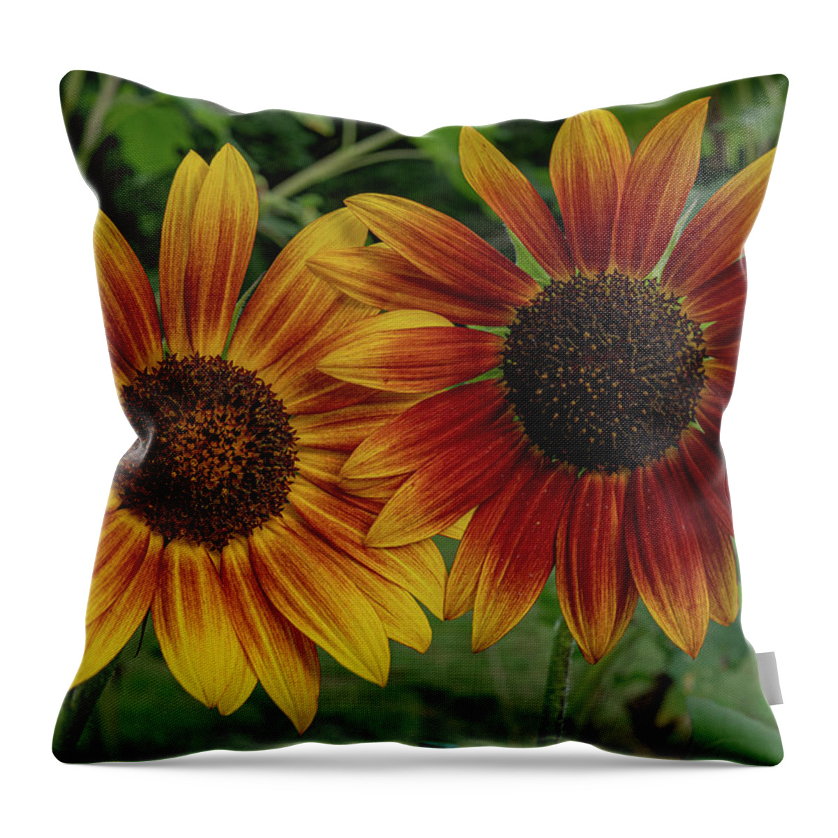 Sunflower Throw Pillow featuring the photograph A Beautiful Couple by Linda Howes