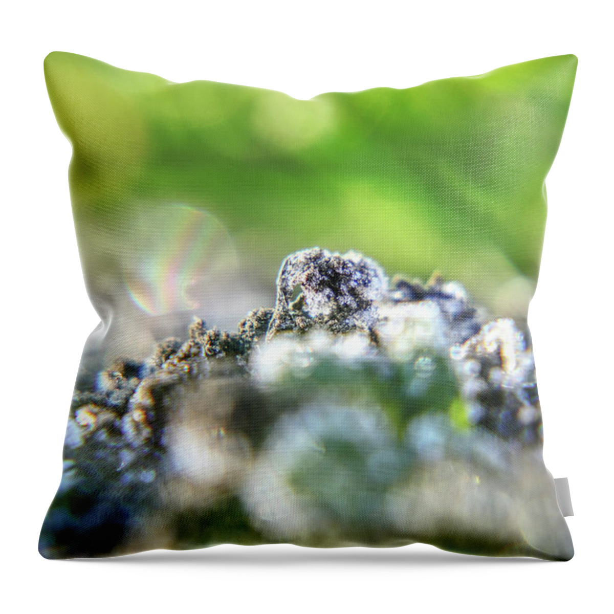 Environment Throw Pillow featuring the photograph A beautiful detail on small mole hill with hoarfrost. A white crystals on clay. Wonderful powerful of nature by Vaclav Sonnek
