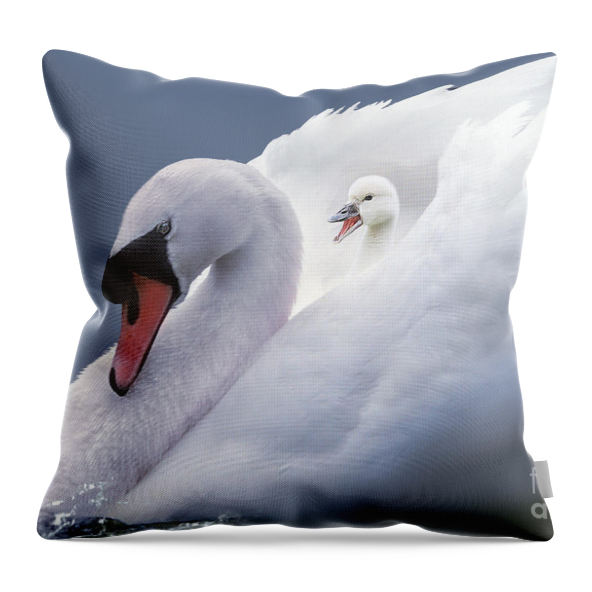 Swan Throw Pillow featuring the pyrography A Bed of Feathers by Morag Bates