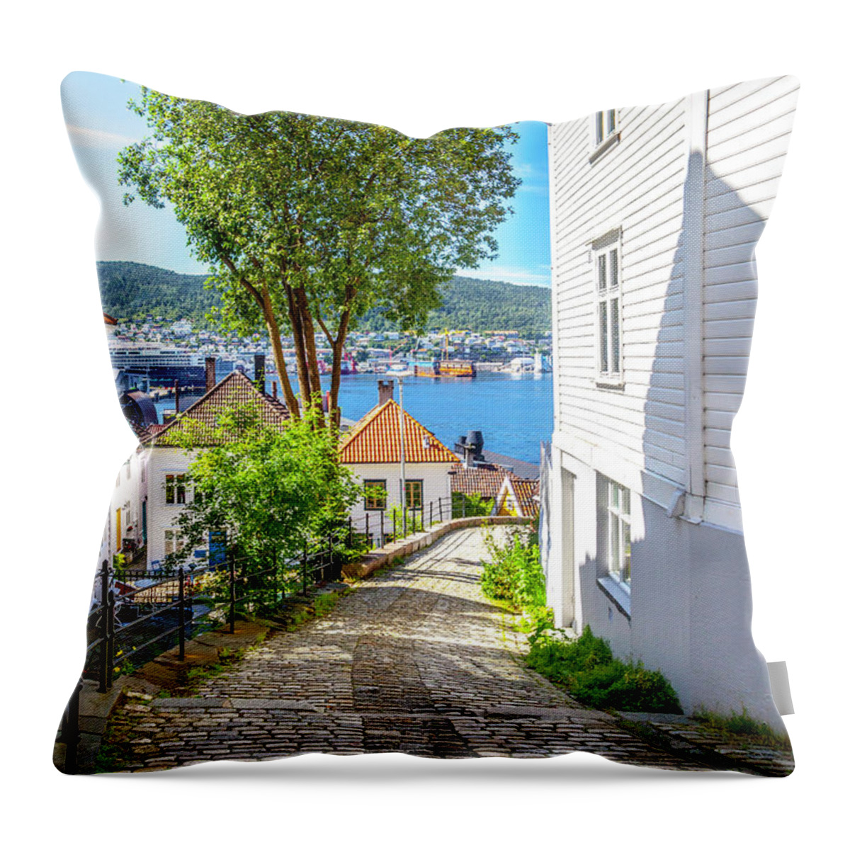 Town Throw Pillow featuring the photograph A Bergen Neighborhood by W Chris Fooshee