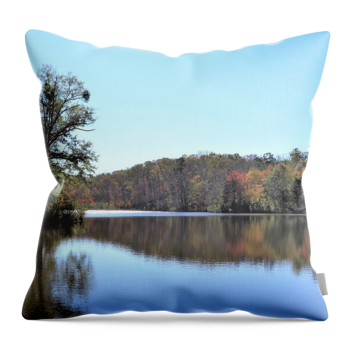 Pond Throw Pillow featuring the photograph A Bright Fall Pond by Ed Williams