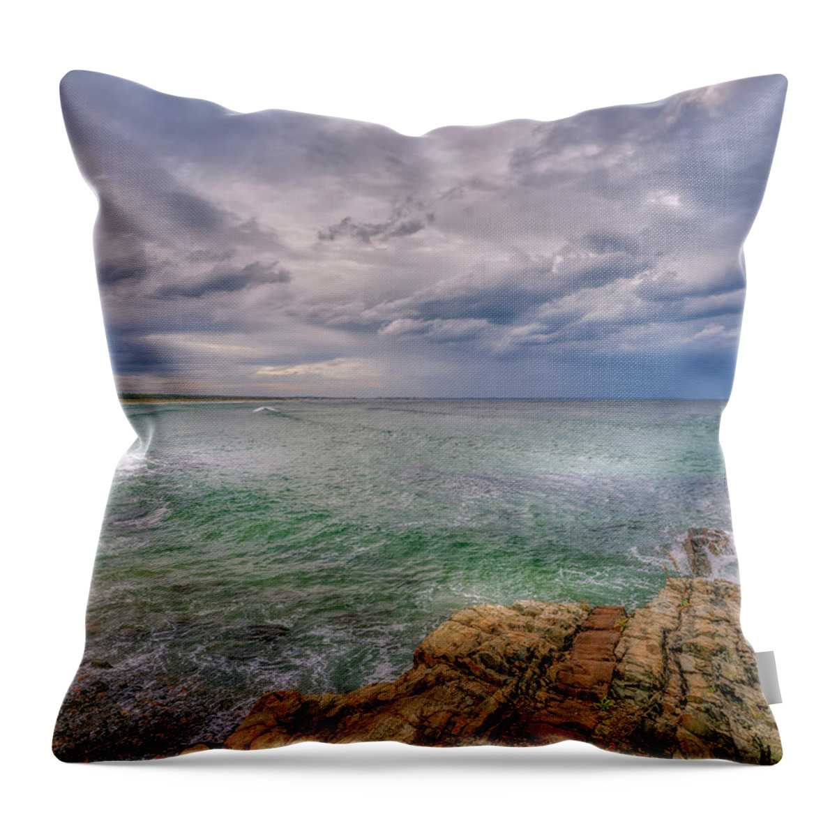 Marginal Way Throw Pillow featuring the photograph A Captured Moment by Penny Polakoff