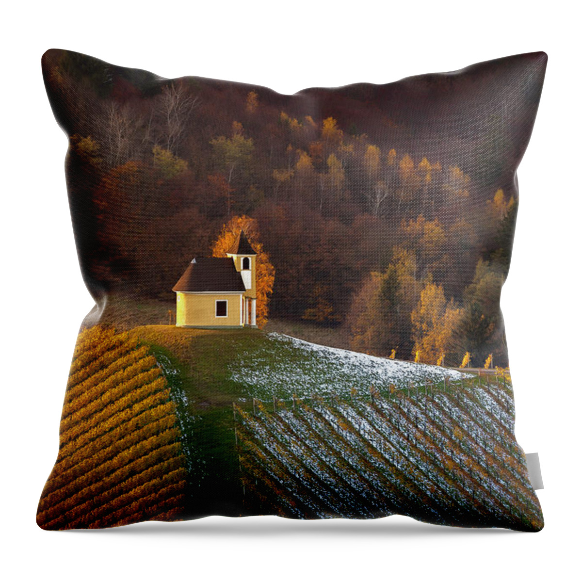 Austria Throw Pillow featuring the photograph A chapel in vineyards by Piotr Skrzypiec
