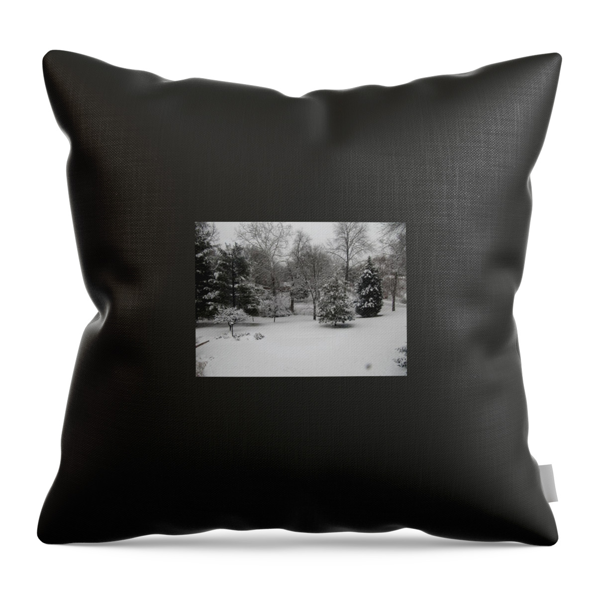 Winter Throw Pillow featuring the photograph A Color Photograph Without Color Almost by Calvin Boyer