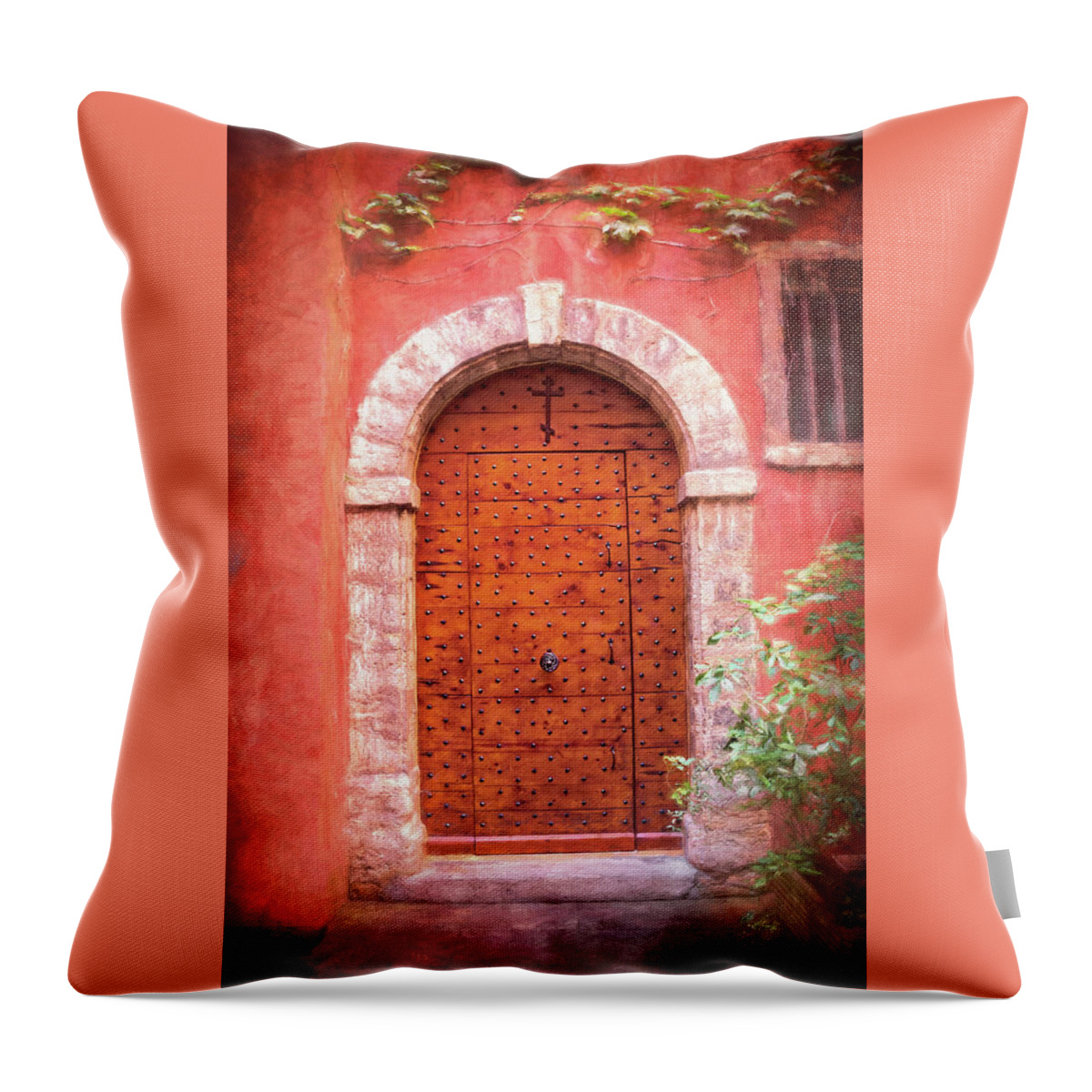 Lyon Throw Pillow featuring the photograph A Delightful Doorway Lyon France by Carol Japp