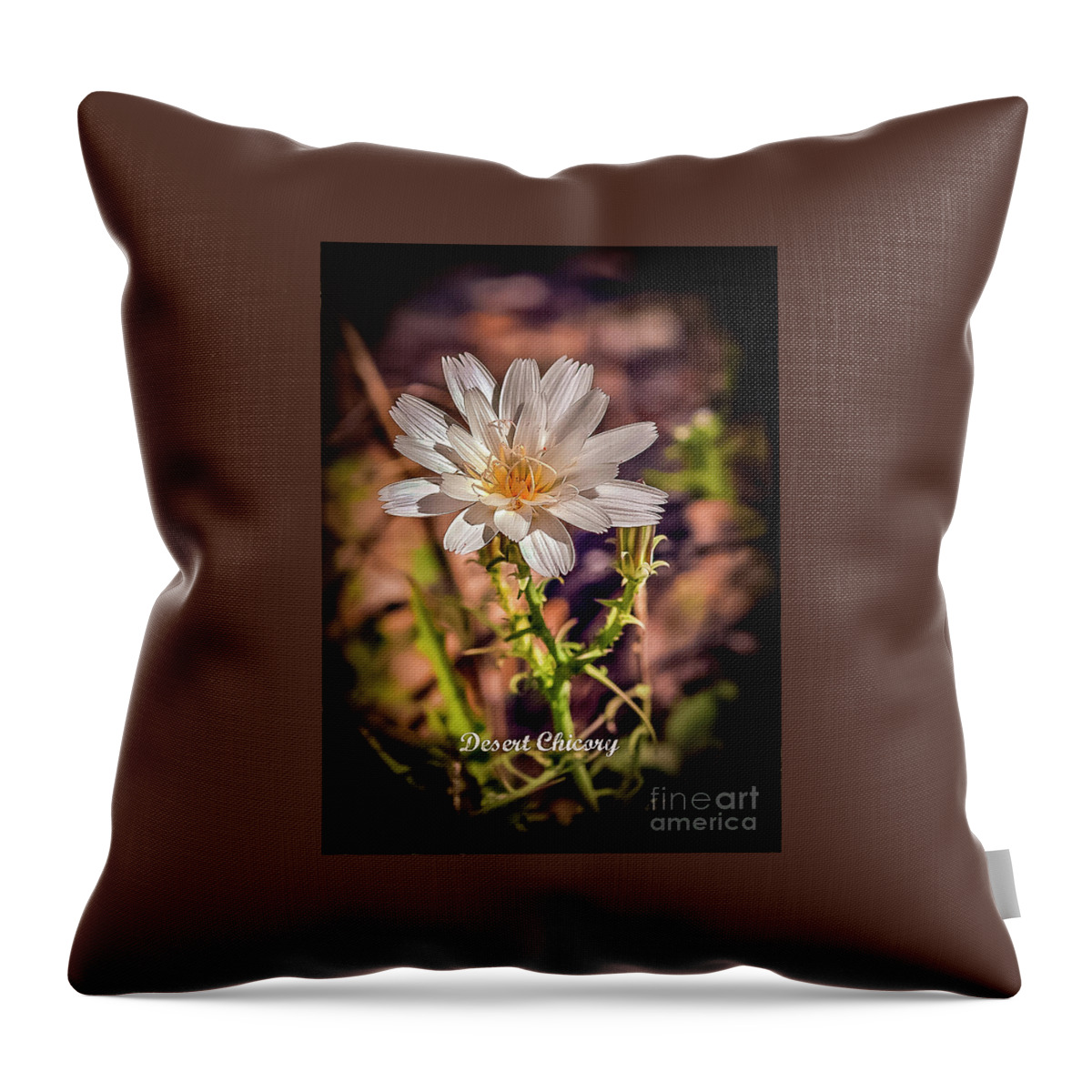 Plants Throw Pillow featuring the photograph A Desert Chicory by Robert Bales