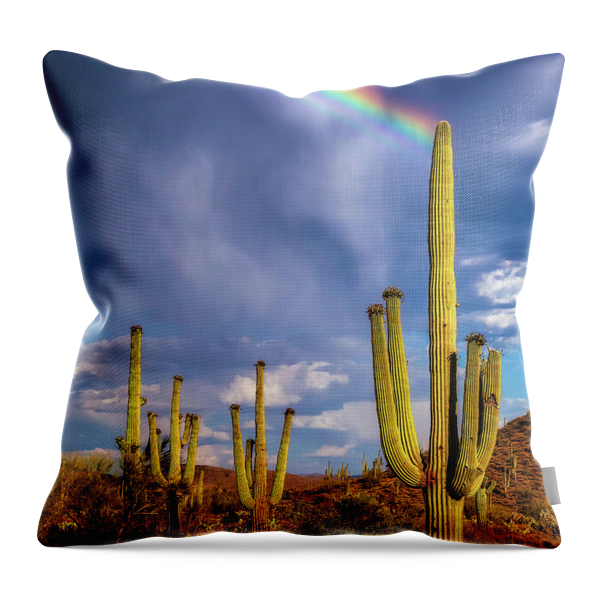 Arizona Throw Pillow featuring the photograph A Divine Touch by Rick Furmanek