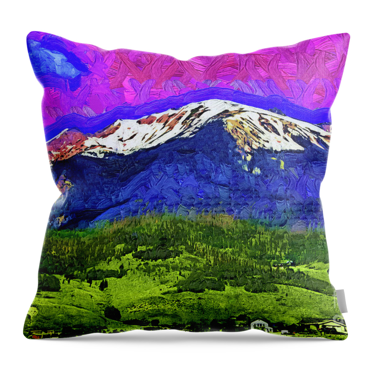 Colorado Throw Pillow featuring the digital art A Field, Forest And Snow Capped Mountains In Colorado by Kirt Tisdale