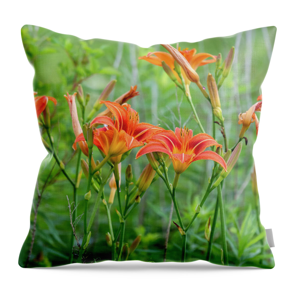 Orange Daylily Throw Pillow featuring the photograph A Field of Wild Daylily by Rose Guinther