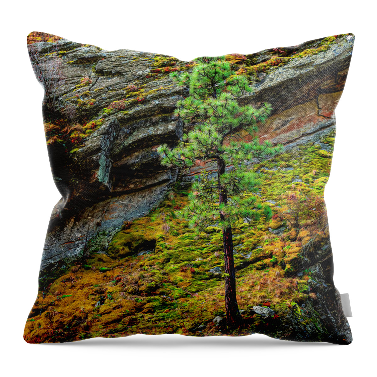 Landscape Throw Pillow featuring the photograph A Firm Foundation by Pamela Dunn-Parrish