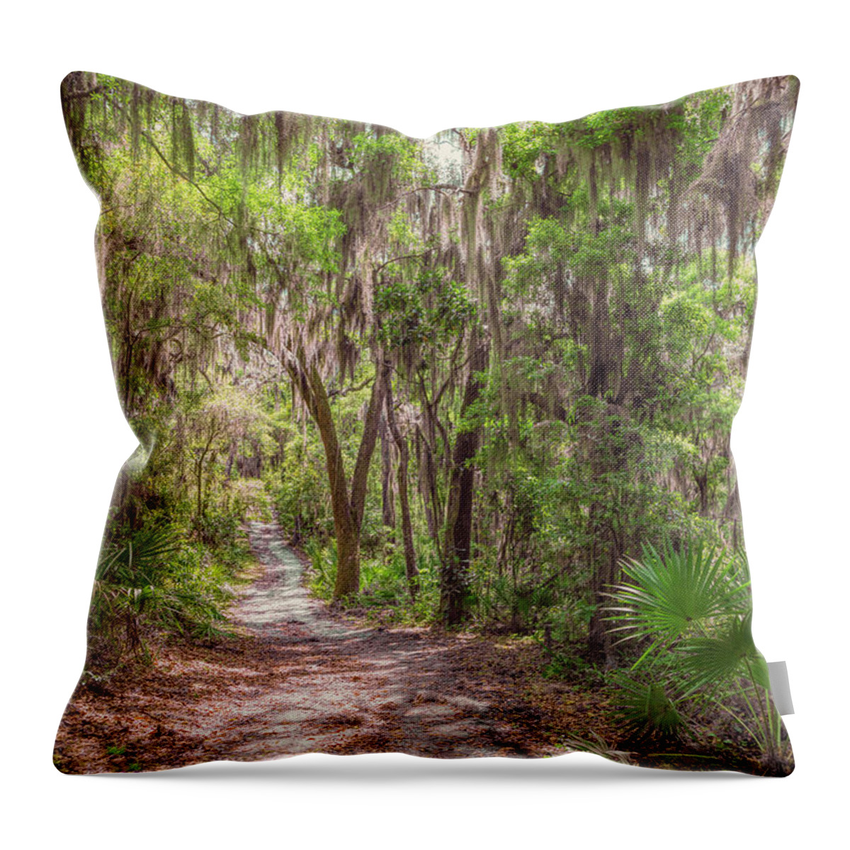 Artforsale Throw Pillow featuring the photograph A Forest Trail by John M Bailey