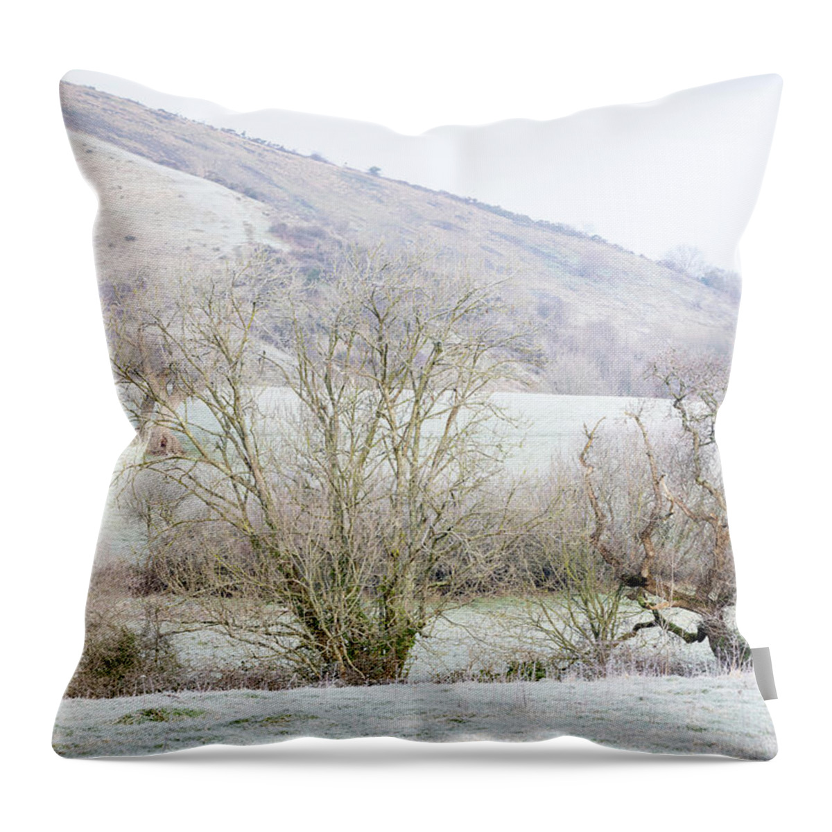 Frosty Throw Pillow featuring the photograph A Frosty Morning by Tanya C Smith