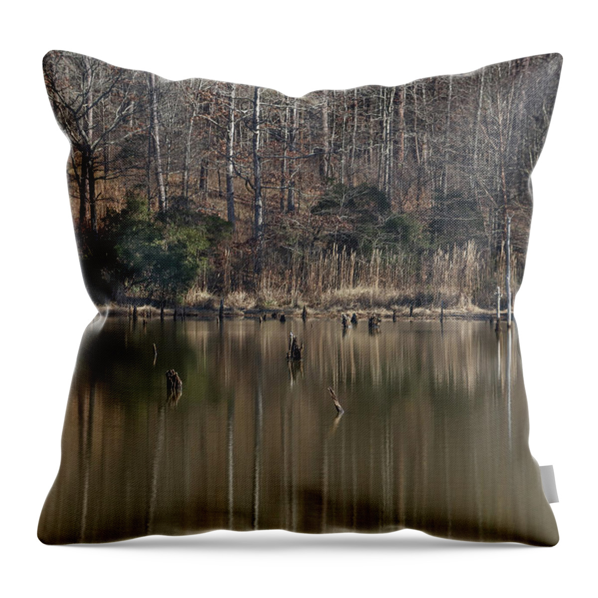 Piedmont National Wildlife Refuge Throw Pillow featuring the photograph A Georgia Pond Corner by Ed Williams