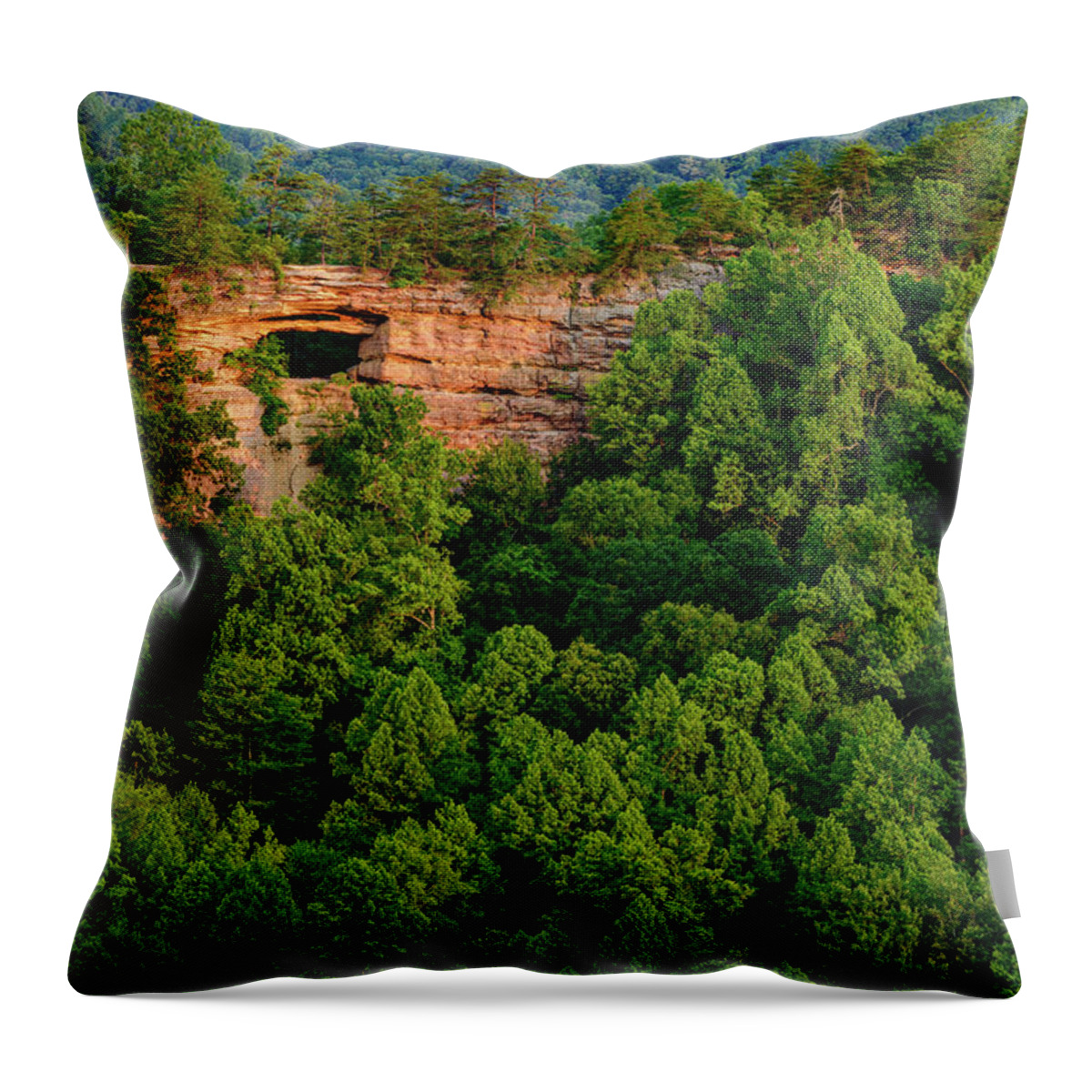 Double Arch Throw Pillow featuring the photograph A Glimmer of Perspective by Michael Scott