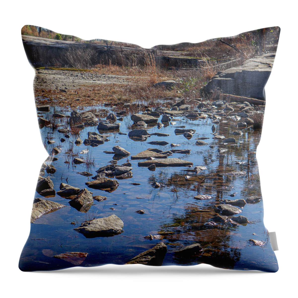 Arabia Mountain Throw Pillow featuring the photograph A Granite Rocks Pool by Ed Williams