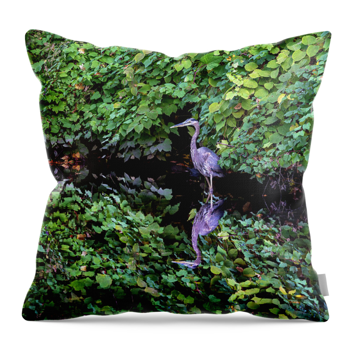 Bronx River Throw Pillow featuring the photograph A Great Blue Heron and Its Refection by Kevin Suttlehan