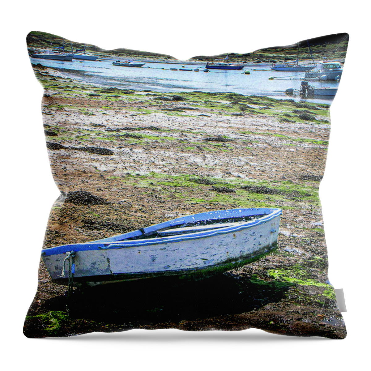 Water Throw Pillow featuring the photograph A-ground by Jim Feldman