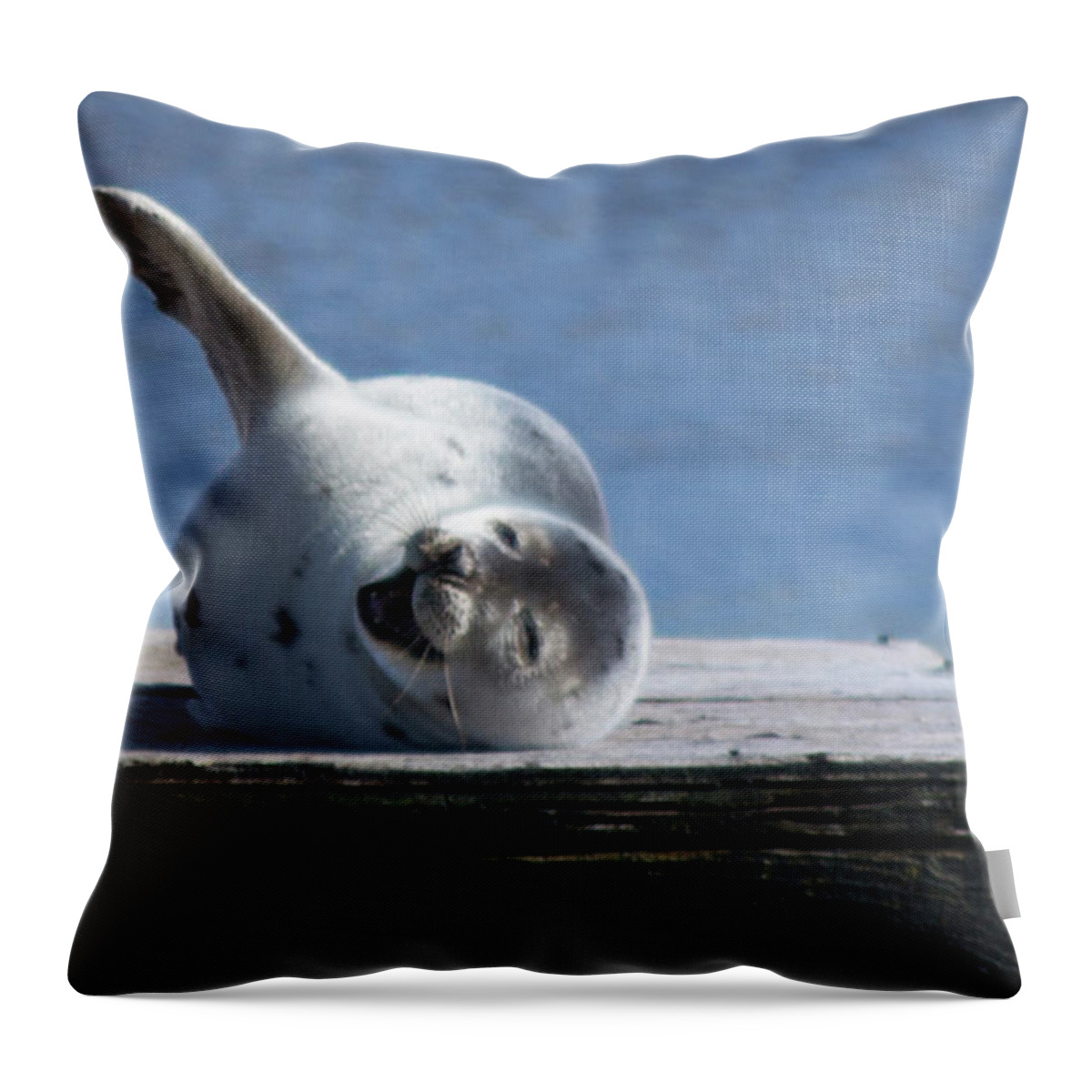 Provincetown Throw Pillow featuring the photograph A Happy Greeting by Ellen Koplow