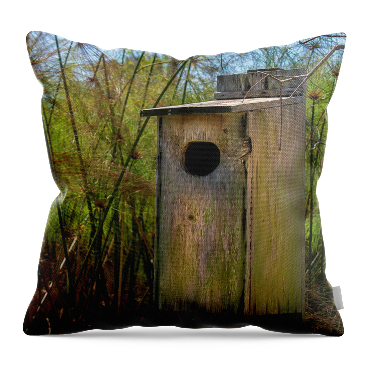 Ahomeinthecountry Throw Pillow featuring the photograph A Home in the Country by Vicky Edgerly