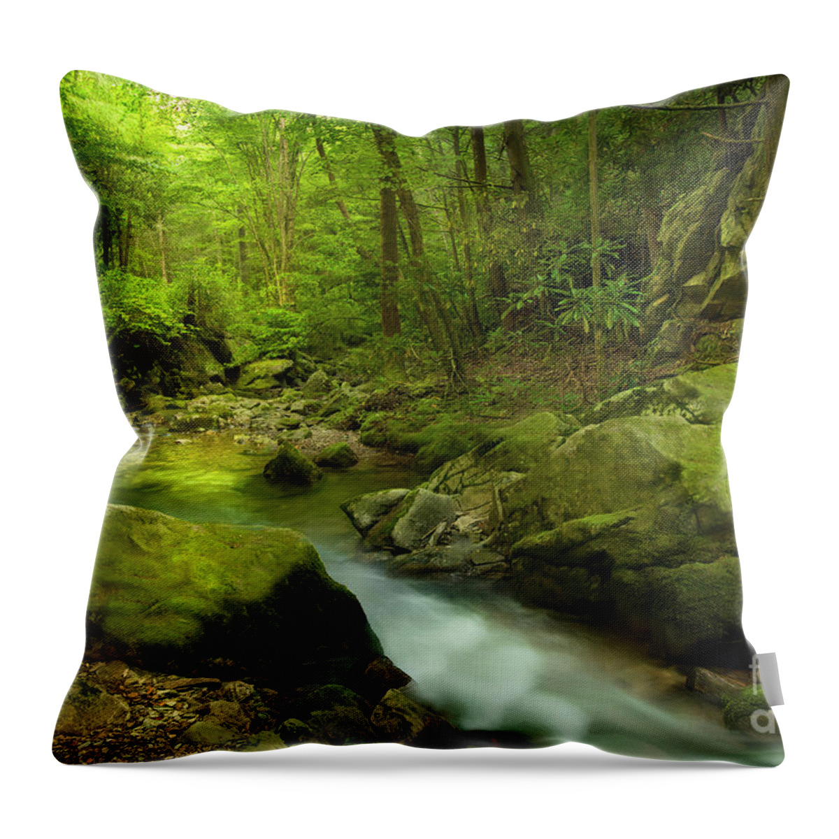 Mountain Throw Pillow featuring the photograph A Journey through Nature by Shelia Hunt