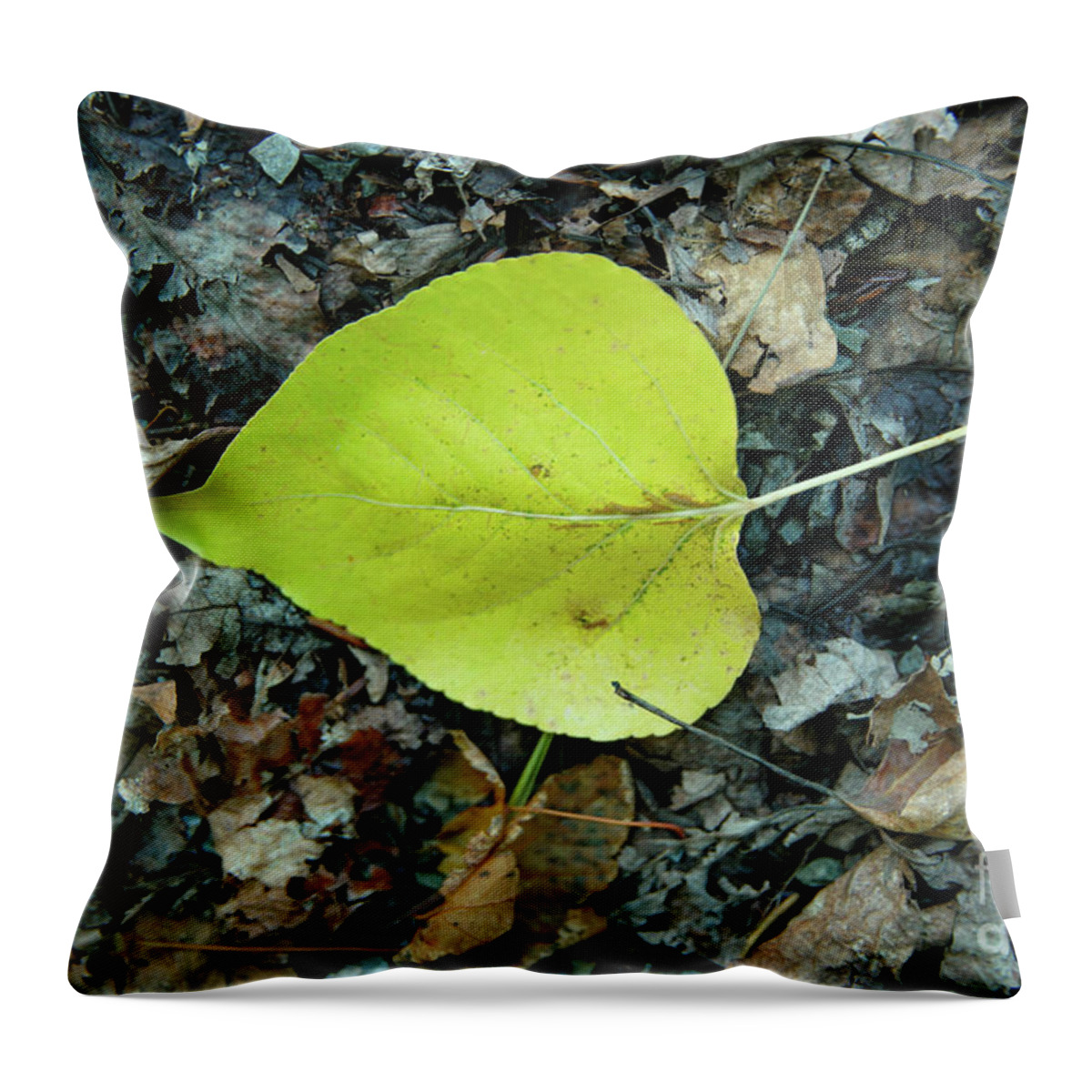 Leaf Throw Pillow featuring the photograph A Leaf On The Ground by Jeff Swan