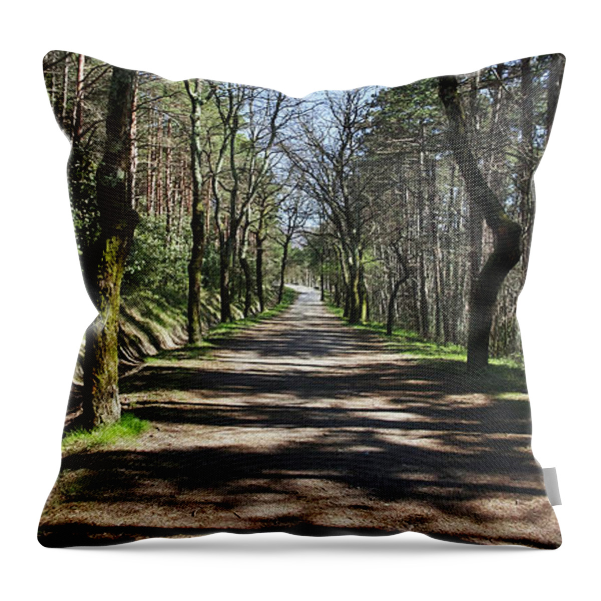 A Wild Ride Throw Pillow featuring the photograph A long way ... by Karine GADRE