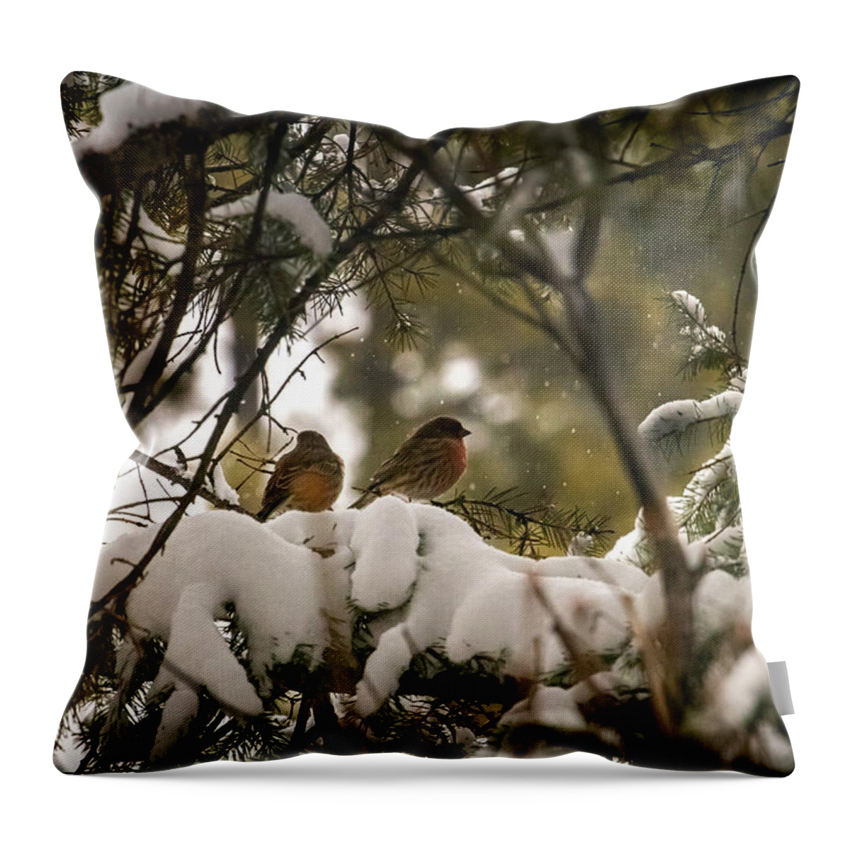 Winter Throw Pillow featuring the photograph A Magical Winter Afternoon by Laura Putman