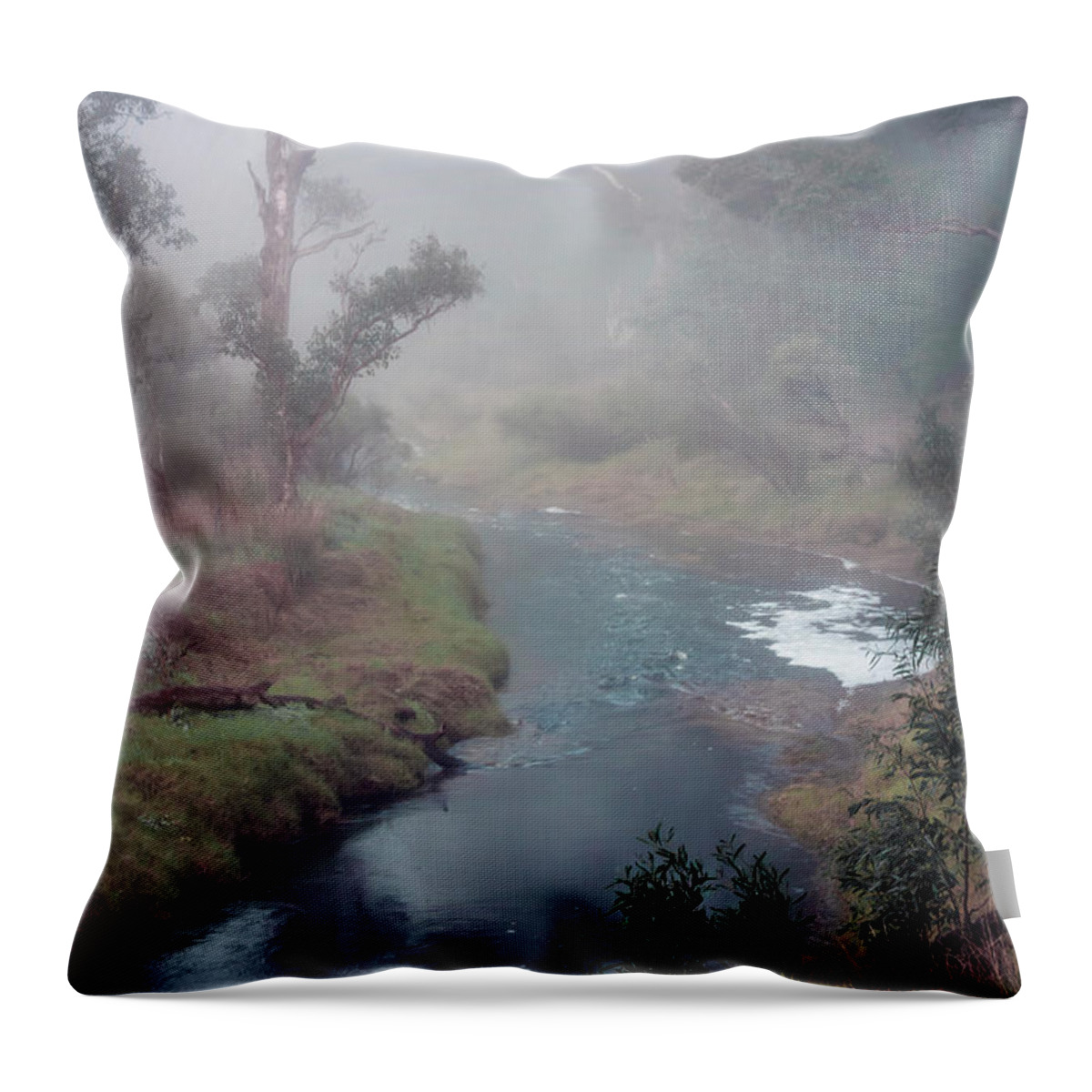 Waterway Throw Pillow featuring the photograph A Misty Morning in Bridgetown 2. Western Australia by Elaine Teague