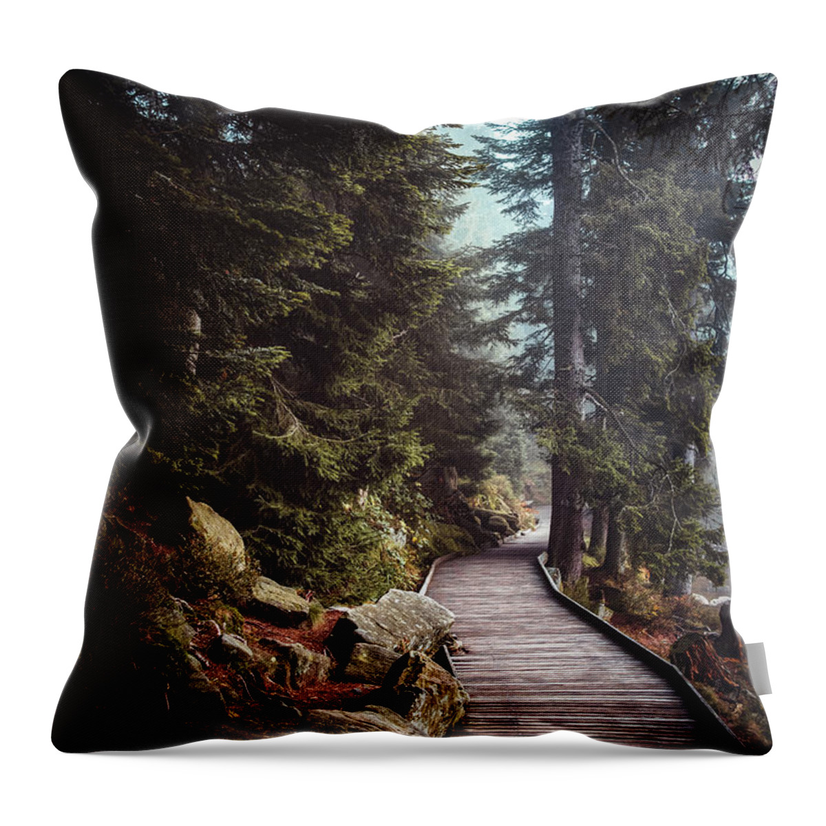 Autumn Throw Pillow featuring the photograph A Moment in the Fall by Philippe Sainte-Laudy