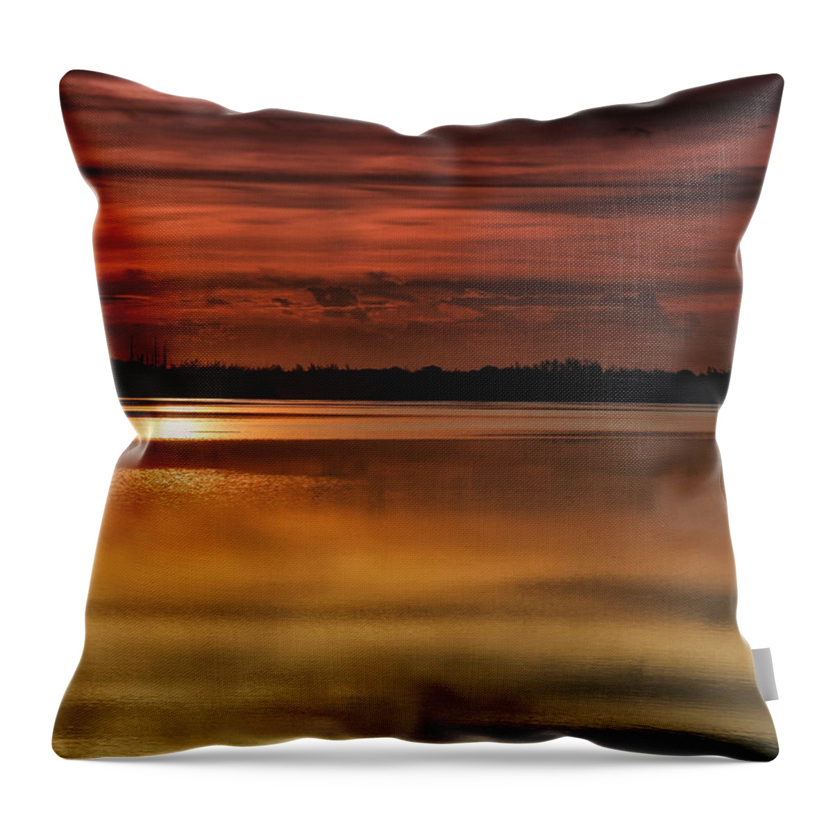 Leisure Throw Pillow featuring the photograph A New World by Montez Kerr