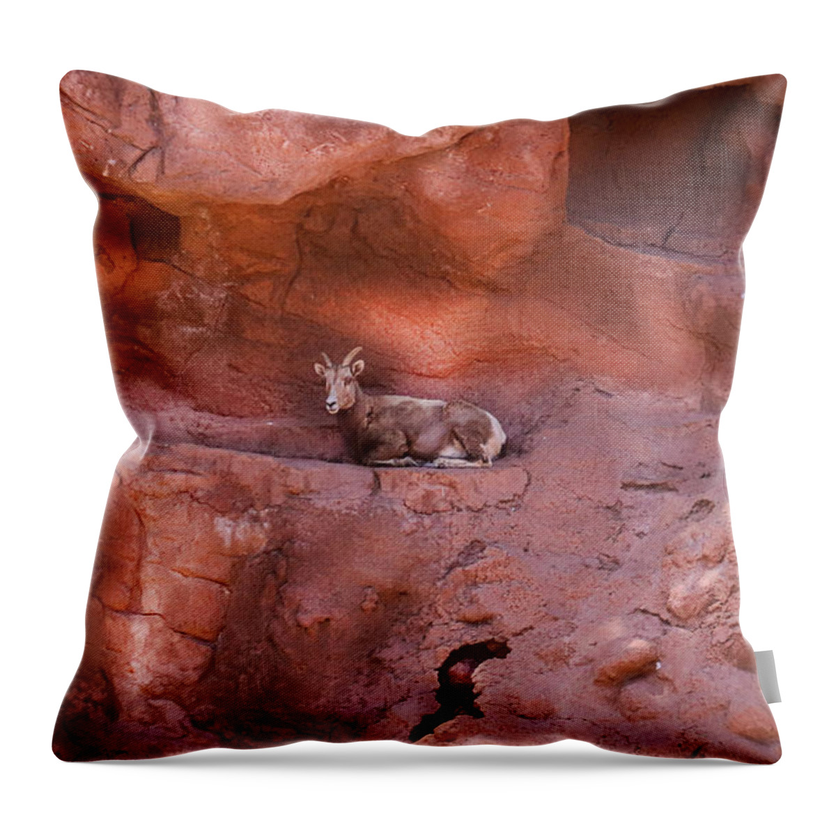 Mountain Goat Throw Pillow featuring the photograph A Peaceful Overlook by Laura Putman