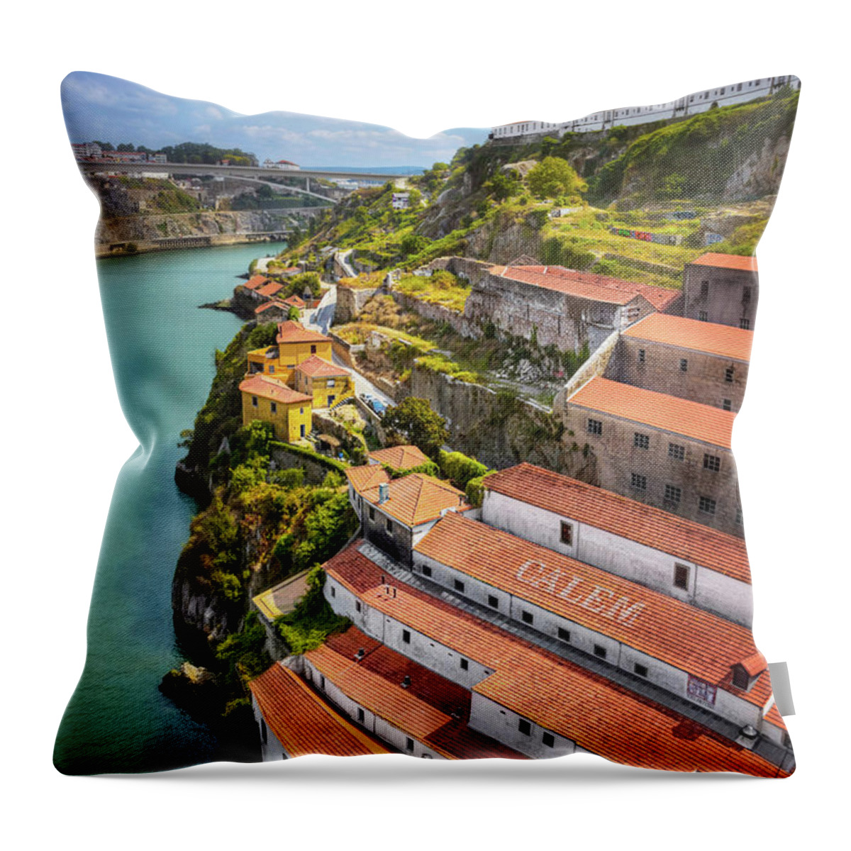Porto Throw Pillow featuring the photograph A Portrait of Porto by Carol Japp