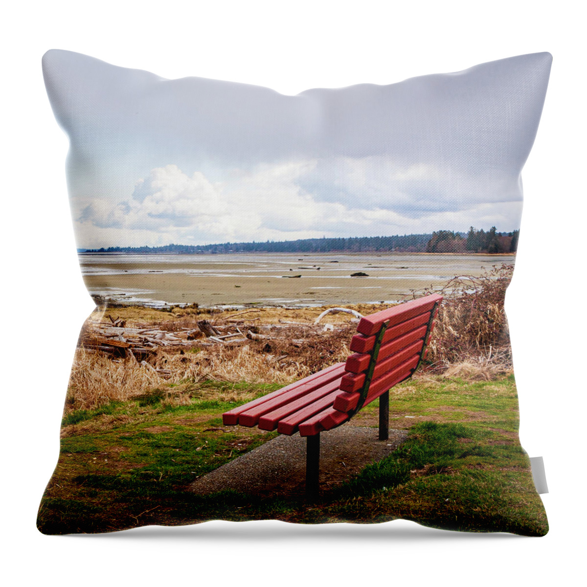 Landscapes Throw Pillow featuring the photograph A Quiet Place by Claude Dalley