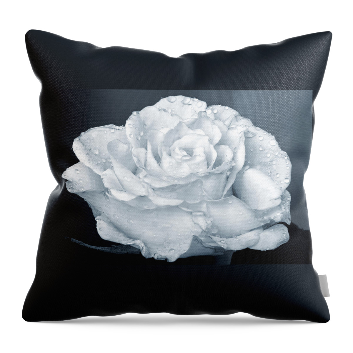 Rose Throw Pillow featuring the photograph A Real Cool Rose. by Terence Davis