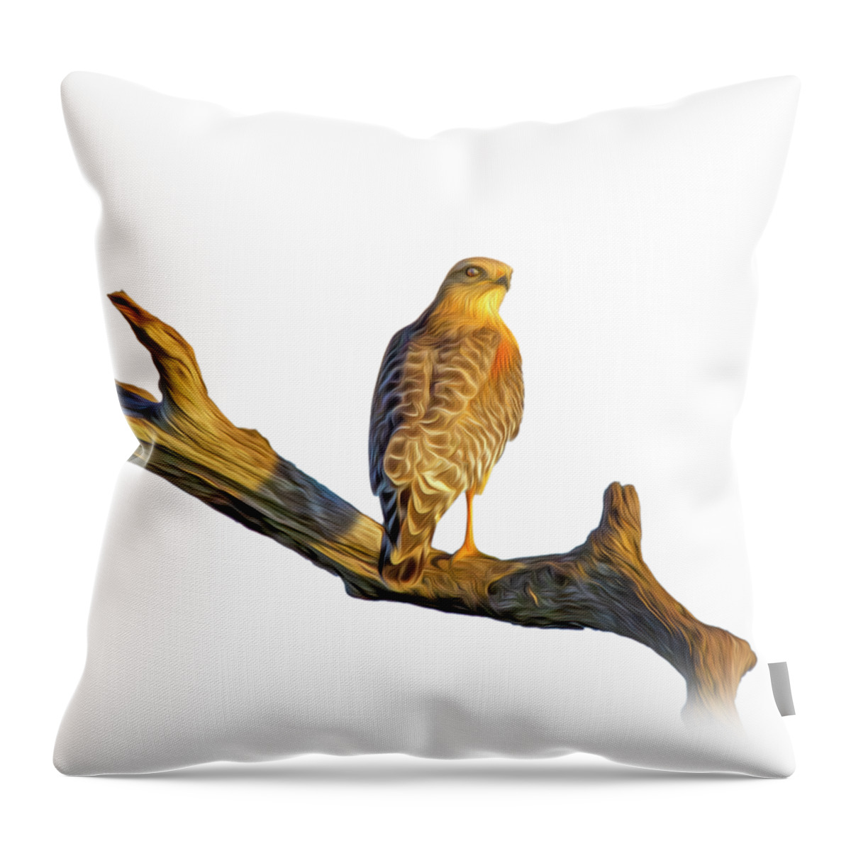 Hawk Throw Pillow featuring the photograph A Red Shouldered Hawk at Sunset by Mark Andrew Thomas