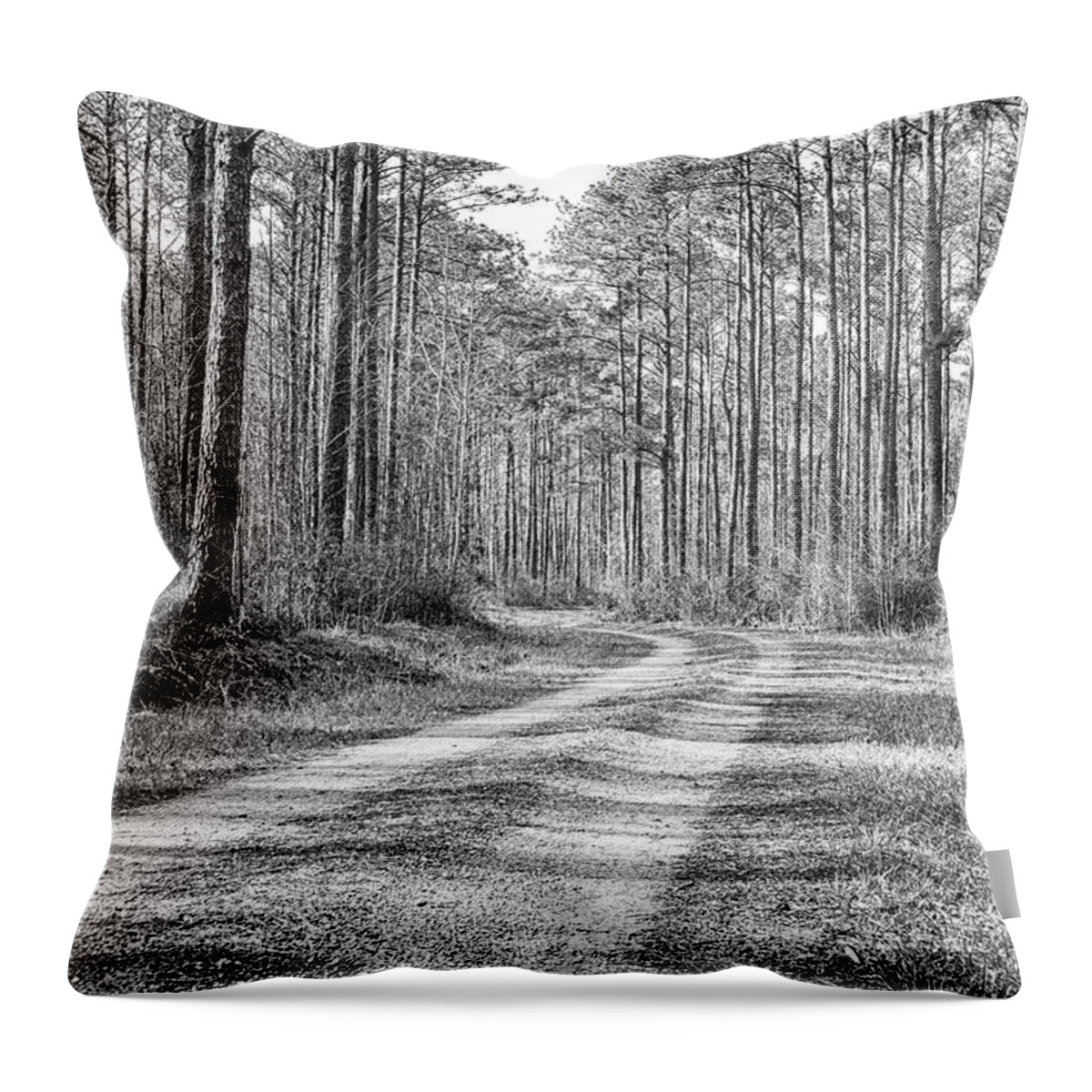 Forest Throw Pillow featuring the photograph A Road Runs Through It - Pine Forest Wilderness by Bob Decker