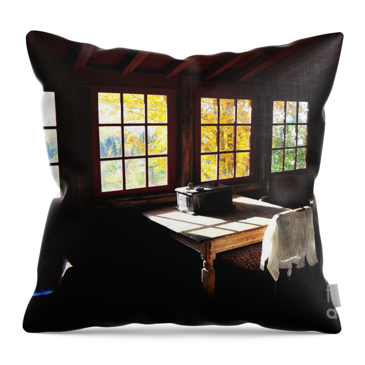 Antique Throw Pillow featuring the photograph A Room With A View by Terri Gostola