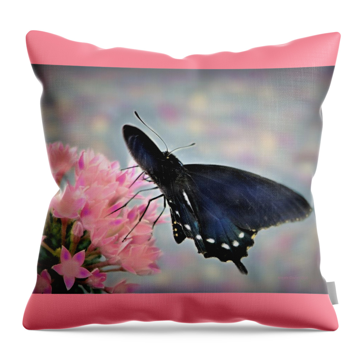 Butterfly Throw Pillow featuring the photograph A Soft Caress by Angela Davies