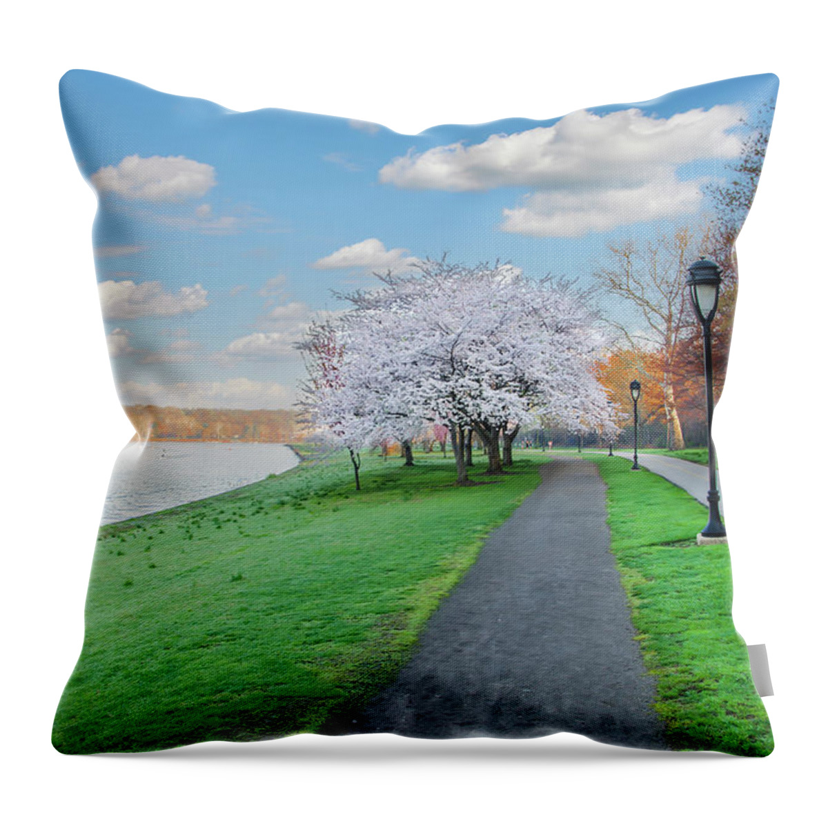 Spring Throw Pillow featuring the photograph A Spring Walk on Kelly Drive - Philadelphia by Bill Cannon