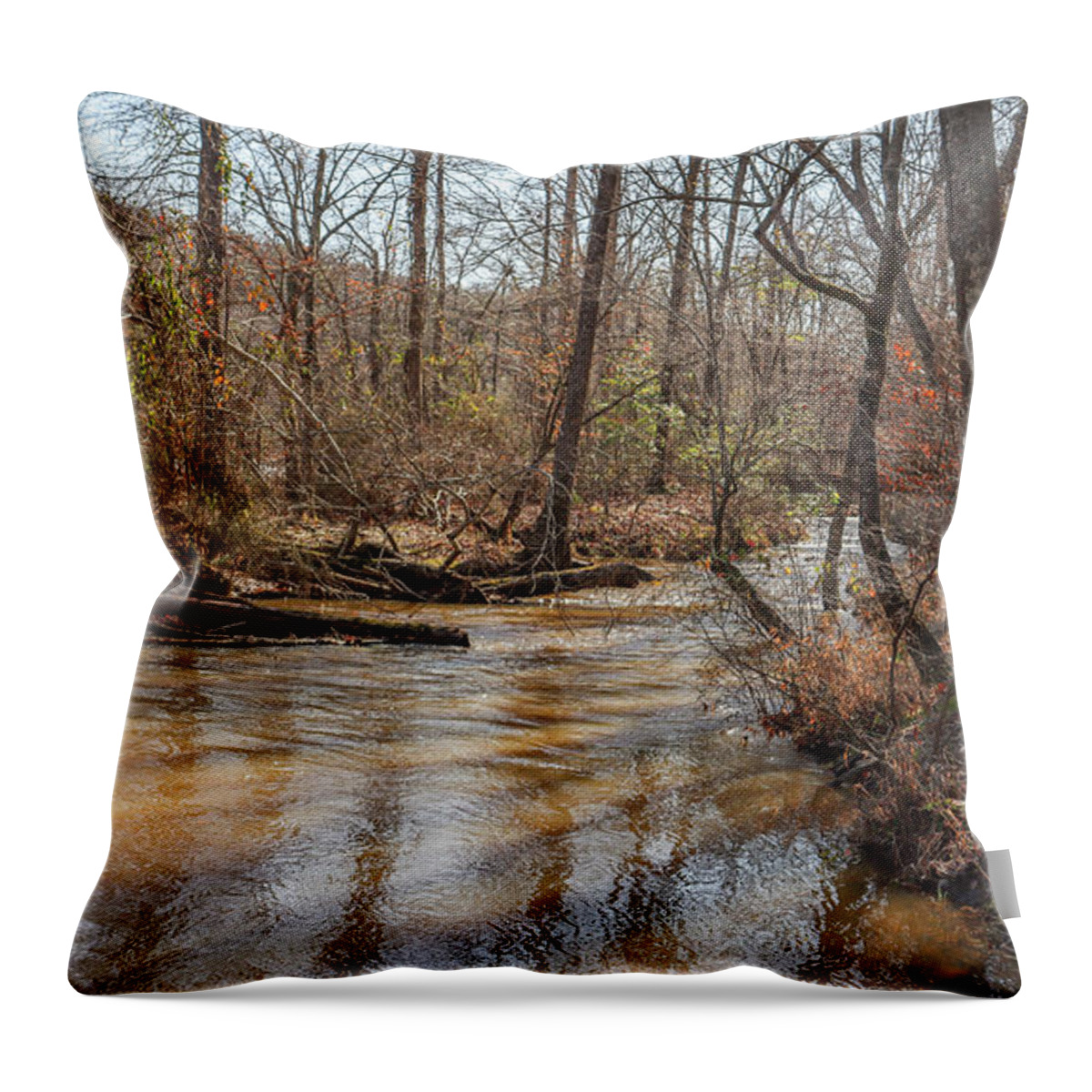 Sweetwater Creek Throw Pillow featuring the photograph A Sweetwater Creek Wind by Ed Williams