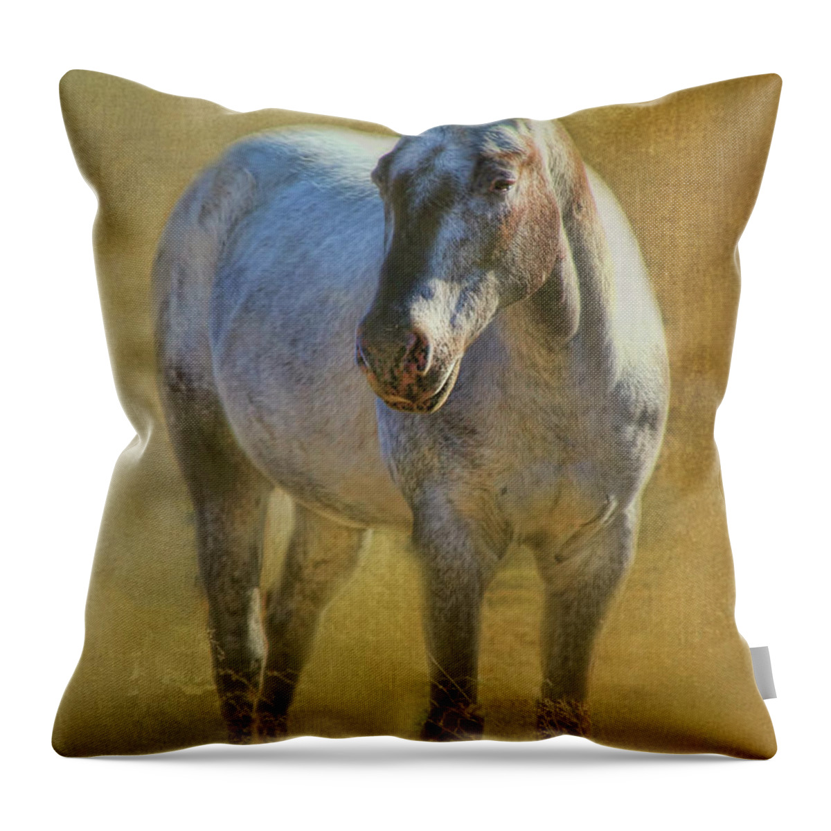 Horse Throw Pillow featuring the digital art A Texas Horse by Joan Bertucci
