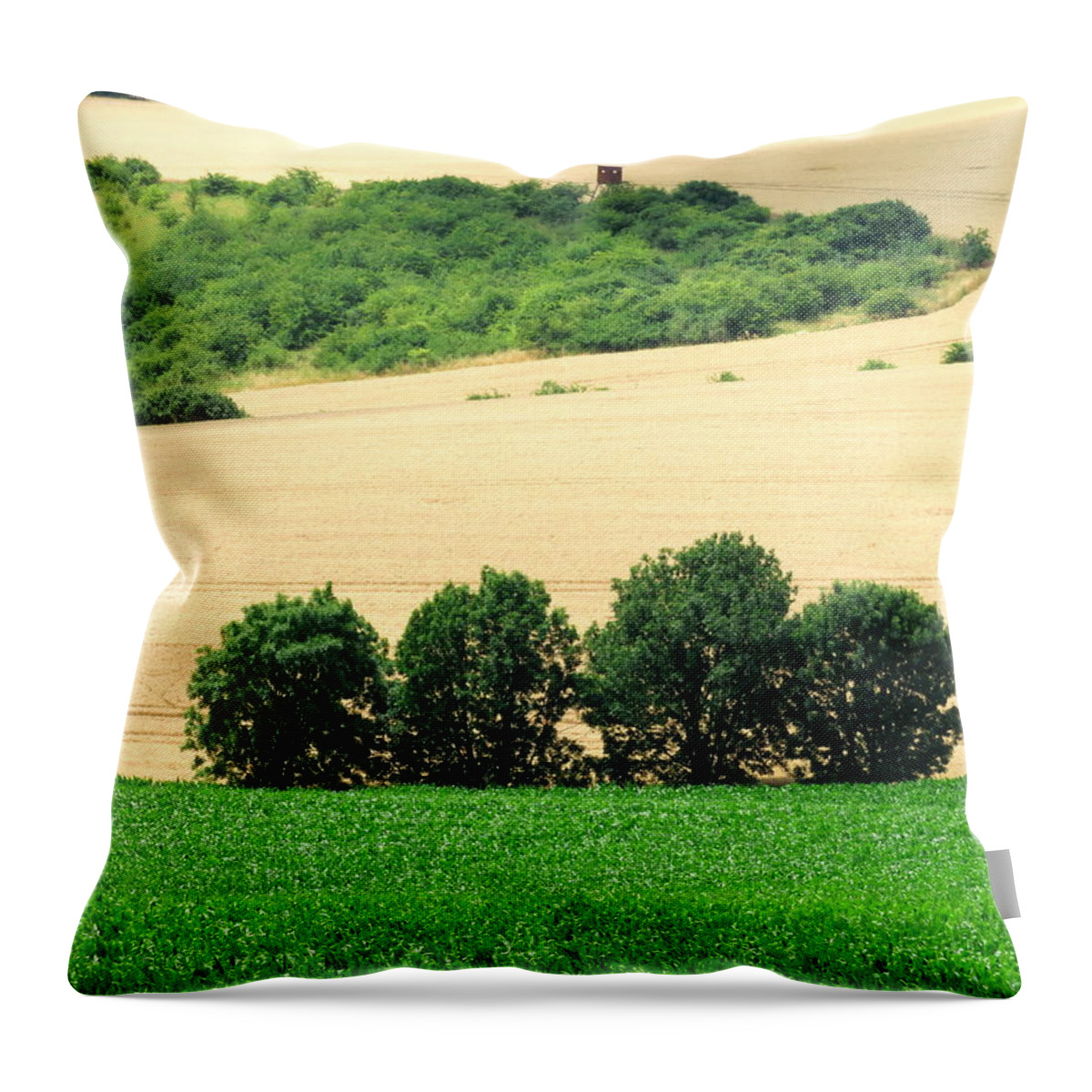 Tree Throw Pillow featuring the photograph A Tree Family by Keiko Richter