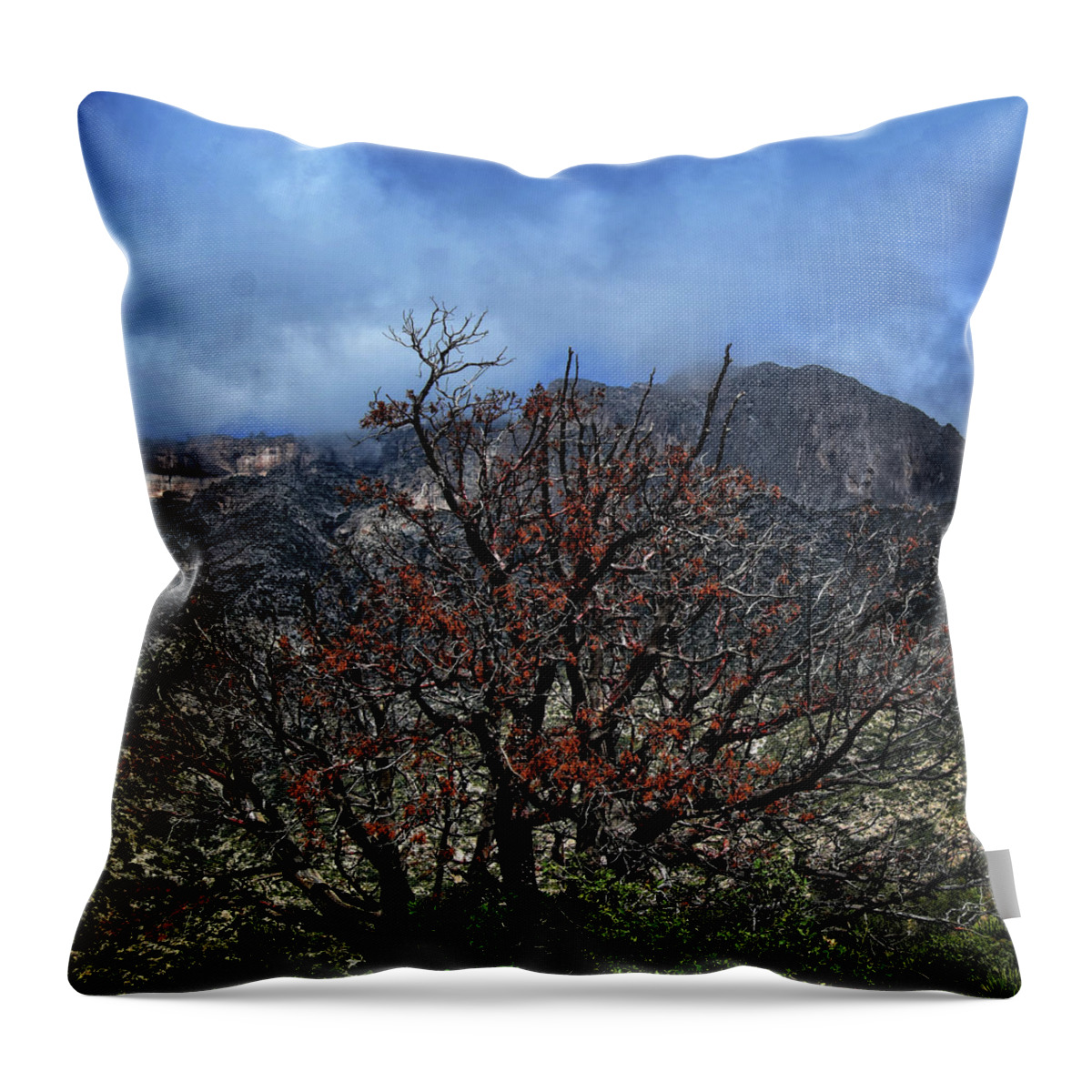 Tree Throw Pillow featuring the photograph A Tree in the Canyon by George Taylor