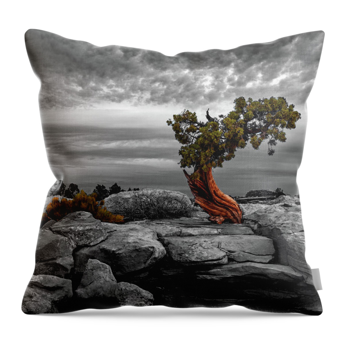 Moab Throw Pillow featuring the photograph A Tree With Character by Dan Norris