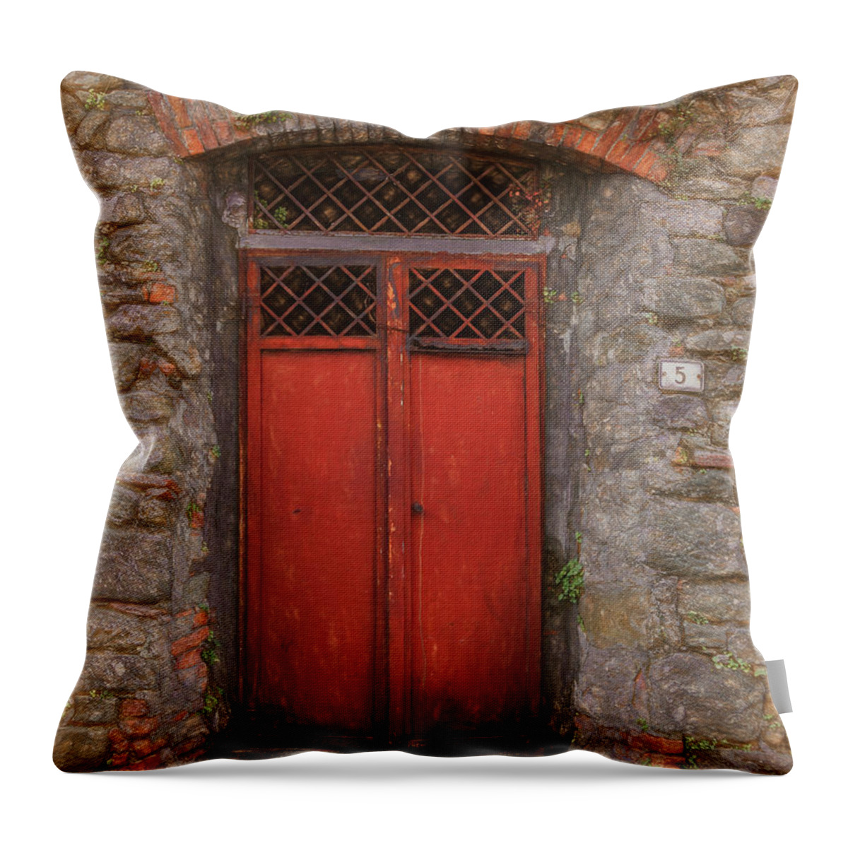 Tuscany Throw Pillow featuring the photograph A Very Handsome Red Door by Marcy Wielfaert