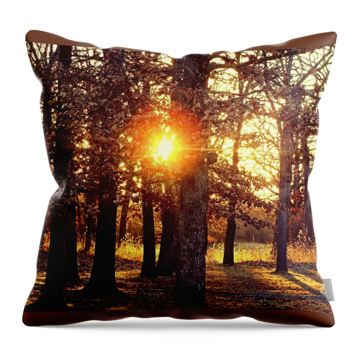 Woods Throw Pillow featuring the photograph A Walk in the Woods. by Charlene Adler