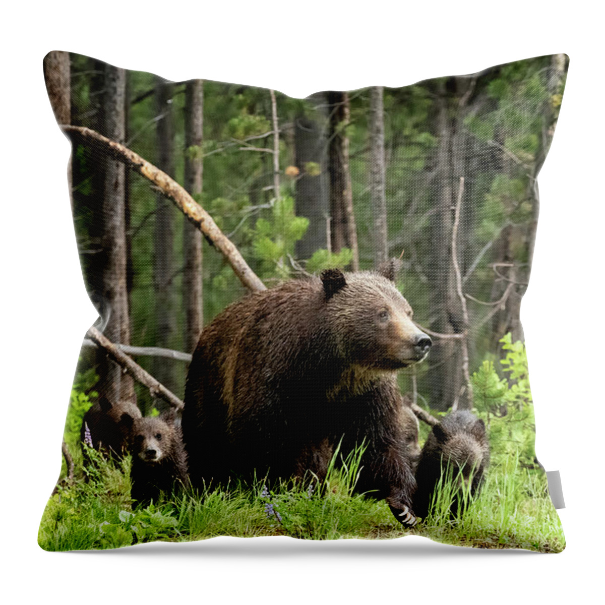 Grizzly Throw Pillow featuring the photograph A Walk Through the Forest - Grizzly 399 and Her Four Cubs by Belinda Greb
